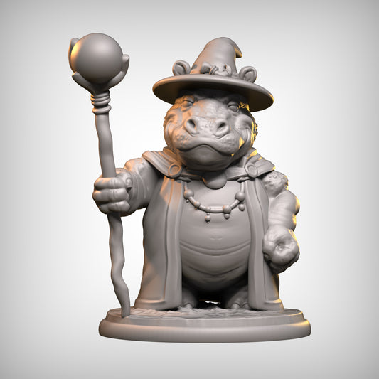 FantazHippo Wizard