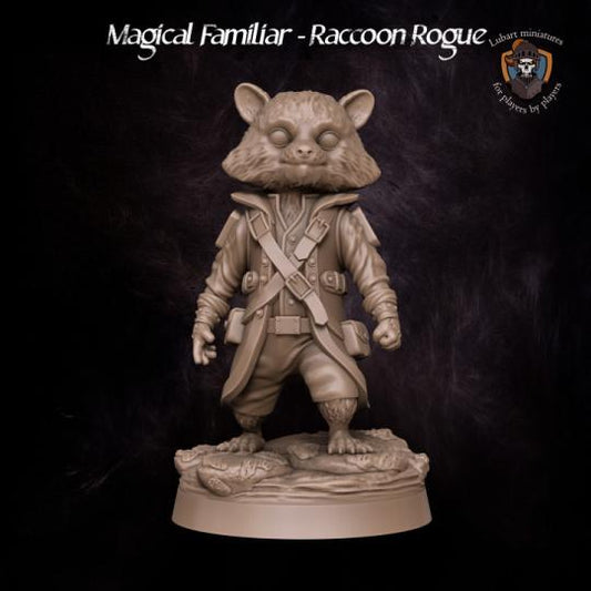 Raccoon Rogue