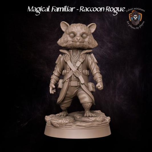 Raccoon Rogue