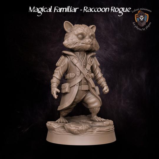 Raccoon Rogue